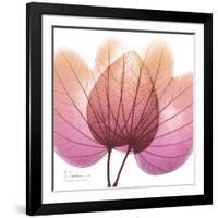 Orchid tree Pink-Albert Koetsier-Framed Premium Giclee Print