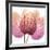 Orchid tree Pink-Albert Koetsier-Framed Premium Giclee Print