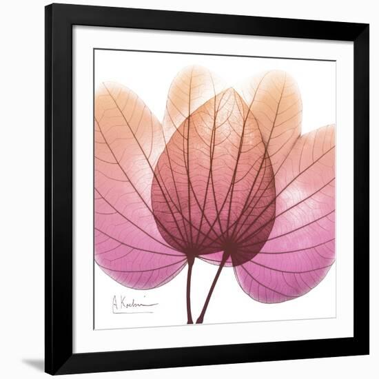 Orchid tree Pink-Albert Koetsier-Framed Premium Giclee Print