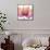 Orchid tree Pink-Albert Koetsier-Framed Stretched Canvas displayed on a wall