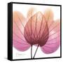 Orchid tree Pink-Albert Koetsier-Framed Stretched Canvas