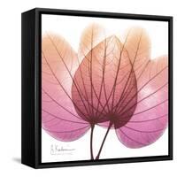 Orchid tree Pink-Albert Koetsier-Framed Stretched Canvas