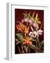 Orchid Trio II-Rodolfo Jimenez-Framed Art Print