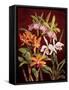 Orchid Trio II-Rodolfo Jimenez-Framed Stretched Canvas