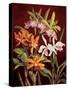 Orchid Trio II-Rodolfo Jimenez-Stretched Canvas