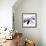 Orchid Undone - Two-Jan Weiss-Framed Art Print displayed on a wall