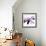 Orchid Undone - Two-Jan Weiss-Framed Art Print displayed on a wall