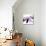 Orchid Undone - Two-Jan Weiss-Mounted Art Print displayed on a wall