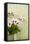 Orchid Vase-Karyn Millet-Framed Stretched Canvas
