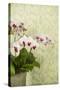 Orchid Vase-Karyn Millet-Stretched Canvas