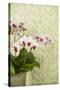 Orchid Vase-Karyn Millet-Stretched Canvas