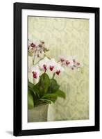 Orchid Vase-Karyn Millet-Framed Photographic Print