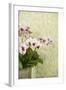 Orchid Vase-Karyn Millet-Framed Photographic Print