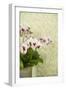 Orchid Vase-Karyn Millet-Framed Photographic Print