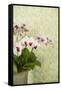 Orchid Vase-Karyn Millet-Framed Stretched Canvas