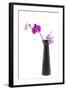 Orchid with Black Vase-Andrea Haase-Framed Photographic Print