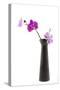 Orchid with Black Vase-Andrea Haase-Stretched Canvas