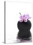 Orchid with Black Vase-Andrea Haase-Stretched Canvas