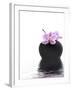 Orchid with Black Vase-Andrea Haase-Framed Photographic Print