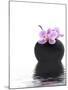 Orchid with Black Vase-Andrea Haase-Mounted Photographic Print