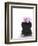 Orchid with Black Vase-Andrea Haase-Framed Photographic Print