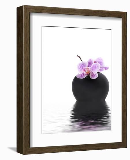 Orchid with Black Vase-Andrea Haase-Framed Photographic Print