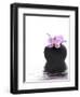 Orchid with Black Vase-Andrea Haase-Framed Photographic Print