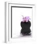 Orchid with Black Vase-Andrea Haase-Framed Photographic Print