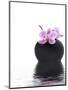 Orchid with Black Vase-Andrea Haase-Mounted Photographic Print