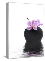 Orchid with Black Vase-Andrea Haase-Stretched Canvas