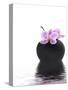 Orchid with Black Vase-Andrea Haase-Stretched Canvas