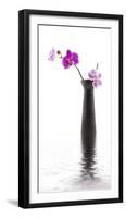 Orchid with Black Vase-Andrea Haase-Framed Photographic Print