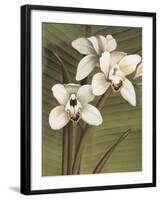 Orchid with Palm I-Andrea Trivelli-Framed Art Print