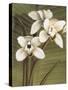 Orchid with Palm I-Andrea Trivelli-Stretched Canvas