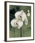 Orchid with Palm II-Andrea Trivelli-Framed Art Print