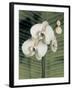 Orchid with Palm II-Andrea Trivelli-Framed Art Print