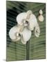 Orchid with Palm II-Andrea Trivelli-Mounted Art Print