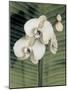 Orchid with Palm II-Andrea Trivelli-Mounted Art Print