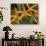 Orchid World, Barbados, Caribbean-Greg Johnston-Photographic Print displayed on a wall