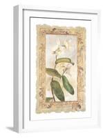 Orchid-George Caso-Framed Art Print