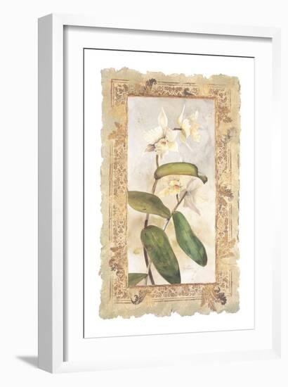 Orchid-George Caso-Framed Art Print