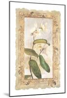 Orchid-George Caso-Mounted Art Print