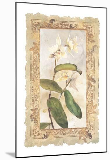 Orchid-George Caso-Mounted Art Print
