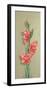 Orchid-M^ Allegri-Framed Art Print