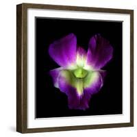 Orchid-Magda Indigo-Framed Photographic Print