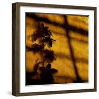 Orchid-Lydia Marano-Framed Photographic Print