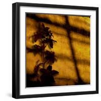 Orchid-Lydia Marano-Framed Photographic Print