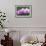 Orchid-null-Framed Photographic Print displayed on a wall