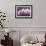 Orchid-null-Framed Photographic Print displayed on a wall