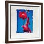 Orchid-null-Framed Photographic Print